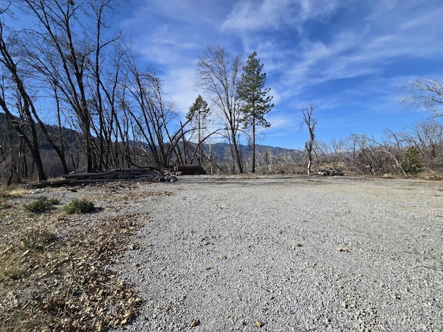 Listing photo 3 for LOT1 Claus Ln, Lakehead CA 96051