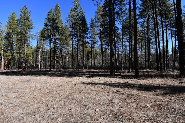 view of local wilderness