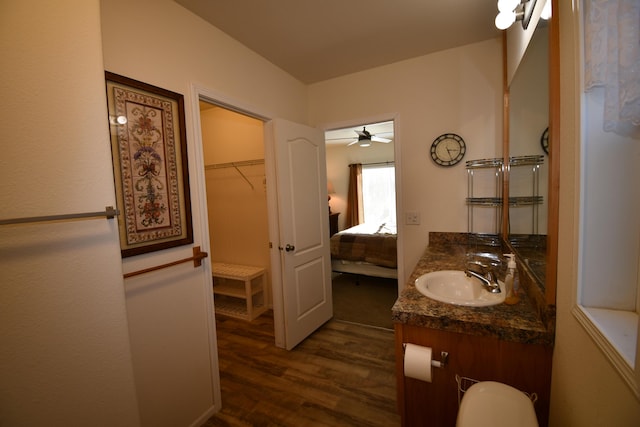 bathroom with hardwood / wood-style flooring and vanity