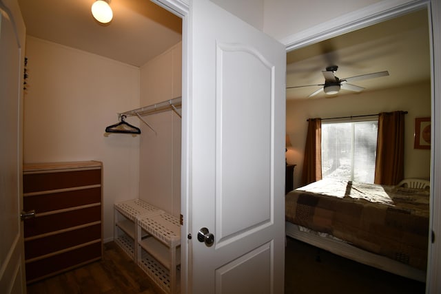 bedroom featuring dark wood-type flooring and ceiling fan