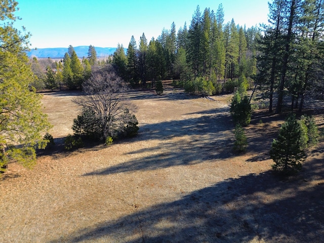 Soldier Mountain Rd, Fall River Mills CA, 96028 land for sale