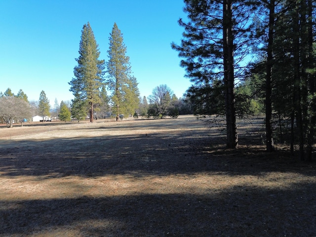 Listing photo 2 for Soldier Mountain Rd, Fall River Mills CA 96028