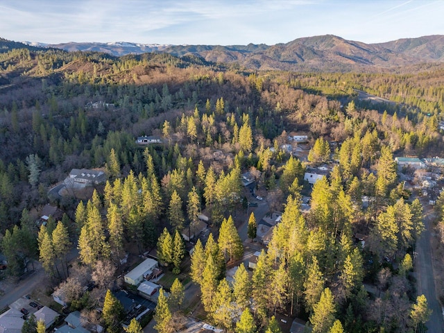 birds eye view of property featuring a mountain view