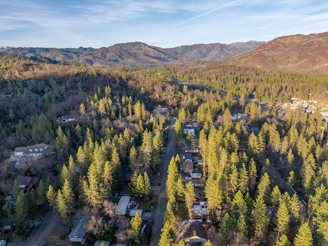 drone / aerial view featuring a mountain view