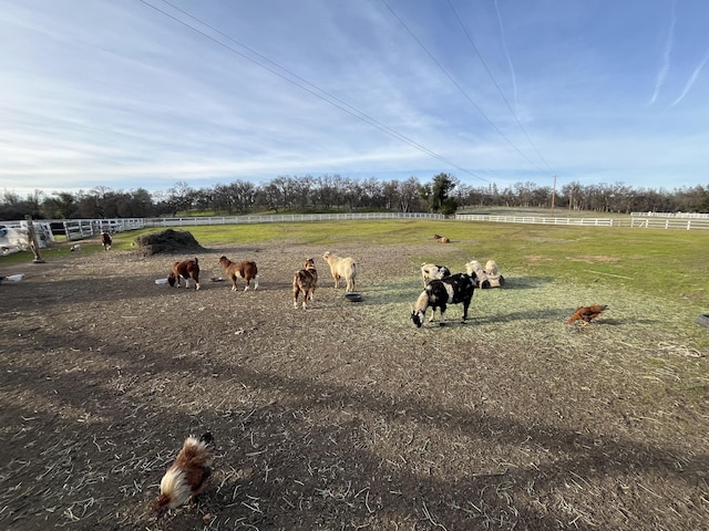 view of yard featuring a rural view