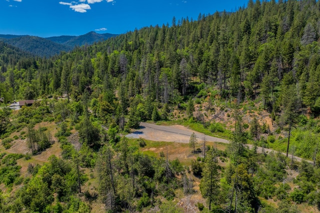 Listing photo 3 for Dog Creek Rd, Lakehead CA 96051