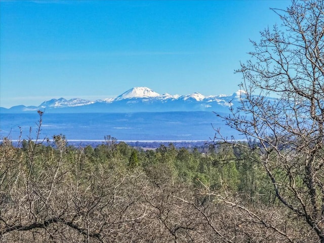 view of mountain feature