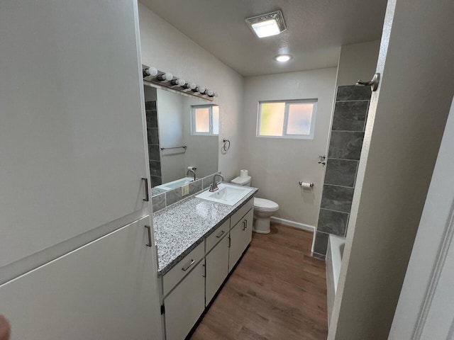 bathroom with wood-type flooring, vanity, and toilet