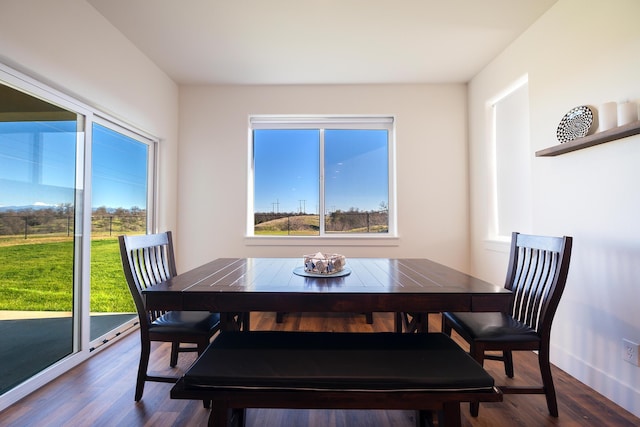 dining space with dark wood-type flooring and plenty of natural light