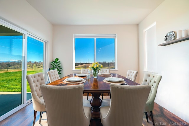 dining area featuring dark wood-type flooring and plenty of natural light