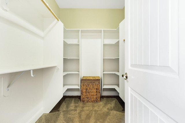 spacious closet with dark carpet