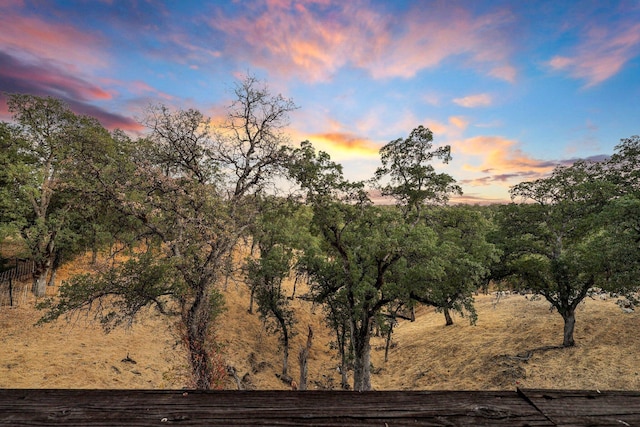 view of nature at dusk