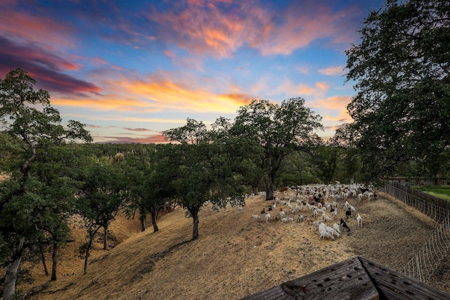 nature at dusk featuring a rural view