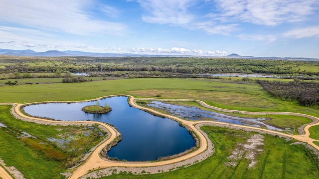 birds eye view of property with a water and mountain view