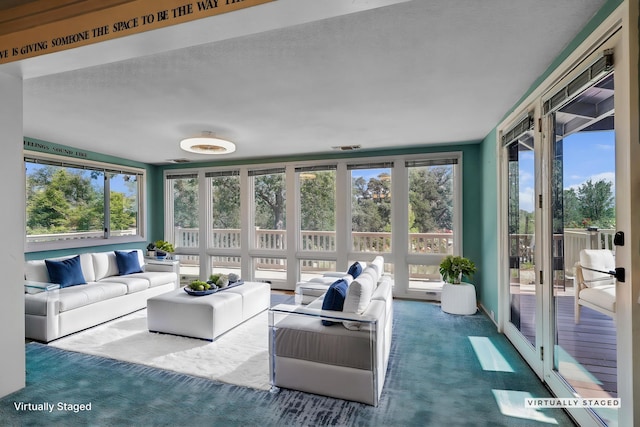 sunroom with carpet flooring