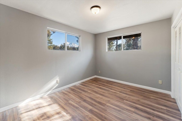 empty room featuring dark hardwood / wood-style flooring