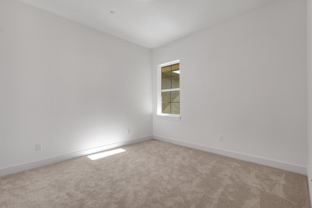 empty room featuring carpet