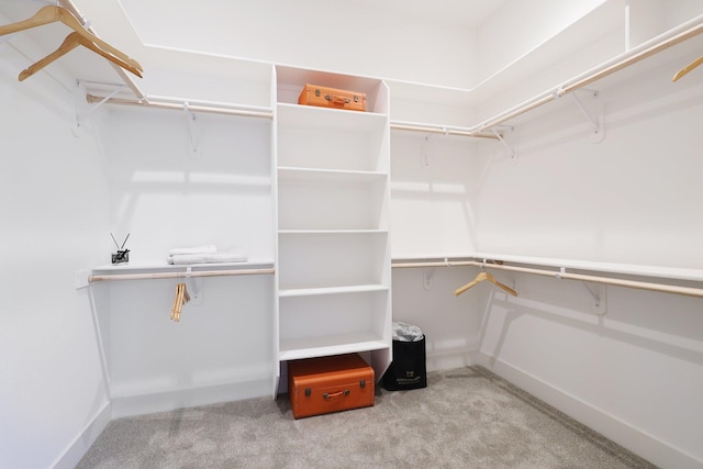 spacious closet featuring light colored carpet