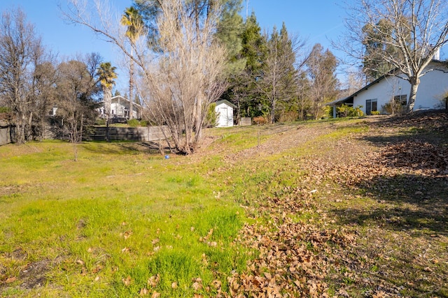 view of yard featuring a shed