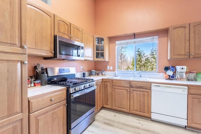 kitchen featuring sink, light hardwood / wood-style floors, and appliances with stainless steel finishes