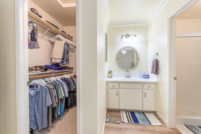 bathroom featuring ornamental molding and vanity