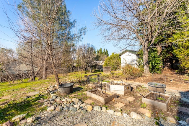 view of yard featuring a shed