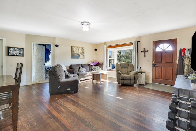 living room featuring dark hardwood / wood-style flooring