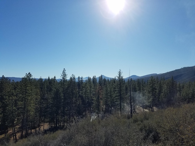 mountain view featuring a wooded view