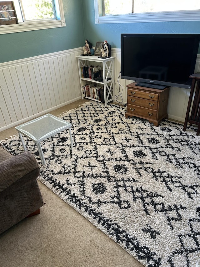 bedroom with carpet flooring