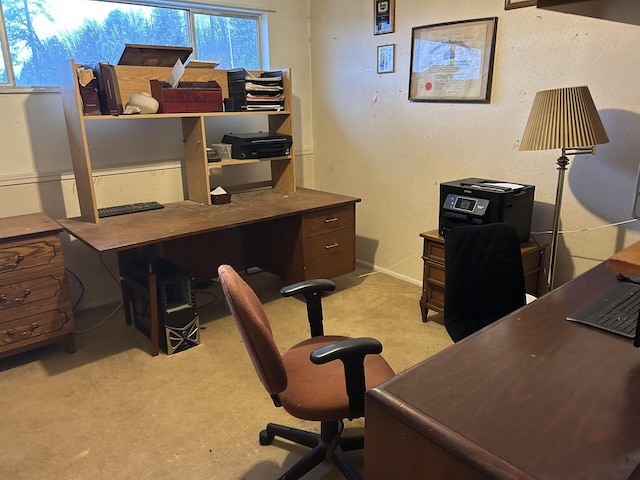 home office with light colored carpet