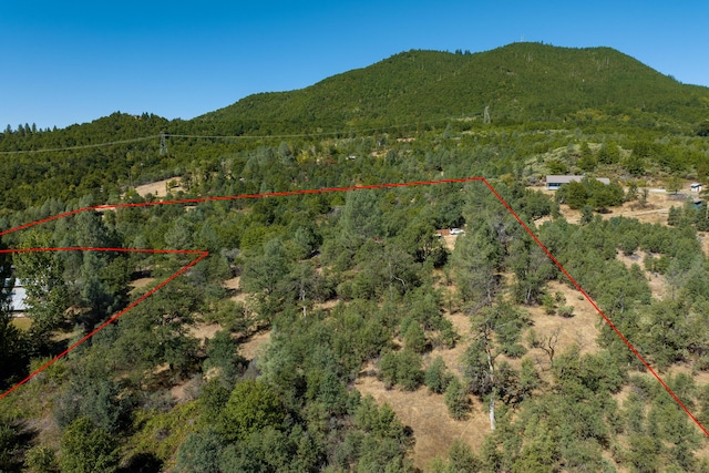 Listing photo 3 for 0 Round Mountain Rd, Round Mountain CA 96084