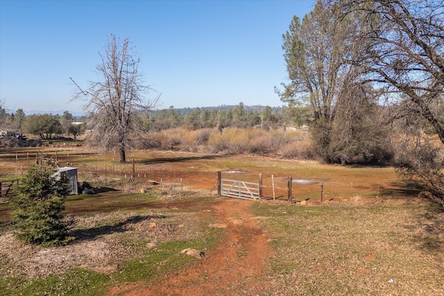 view of yard with a rural view