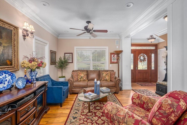 living room with ceiling fan, ornamental molding, and light wood-type flooring