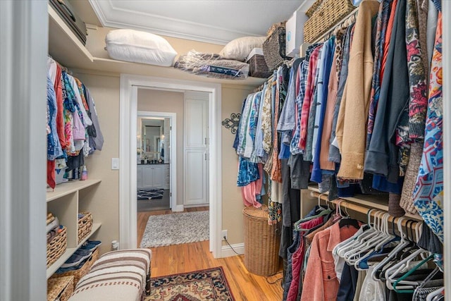 walk in closet with light wood-type flooring