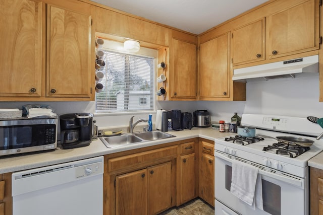 kitchen with white appliances and sink