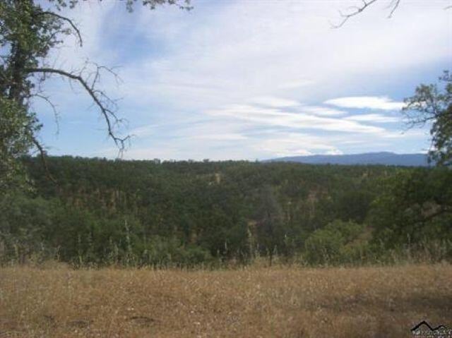 Listing photo 3 for 0 Entry Dr, Red Bluff CA 96080