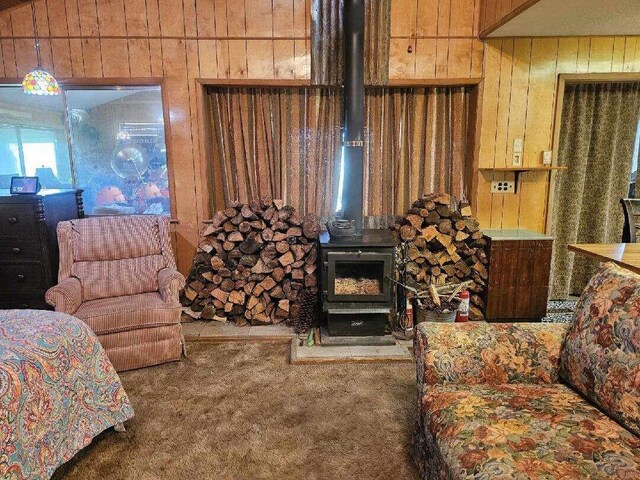 43192 River St, Fall River Mills, CA 96028 - photo 14