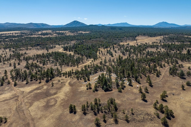0 Old Highway Rd, Mcarthur, CA 96056