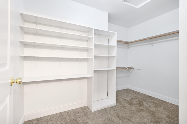 spacious closet featuring carpet flooring