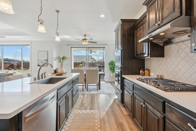 kitchen with pendant lighting, sink, light hardwood / wood-style flooring, stainless steel appliances, and dark brown cabinetry