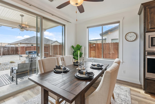 dining space with a wealth of natural light, ornamental molding, ceiling fan, and light wood-type flooring