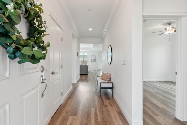 corridor with crown molding and light hardwood / wood-style floors