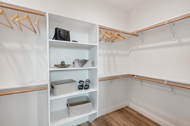 spacious closet featuring wood-type flooring