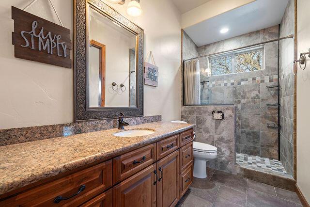 bathroom with vanity, toilet, and a shower with shower curtain