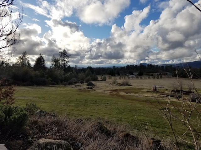 view of local wilderness with a rural view