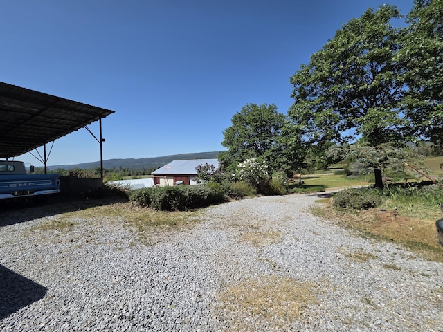 view of yard with driveway and a carport