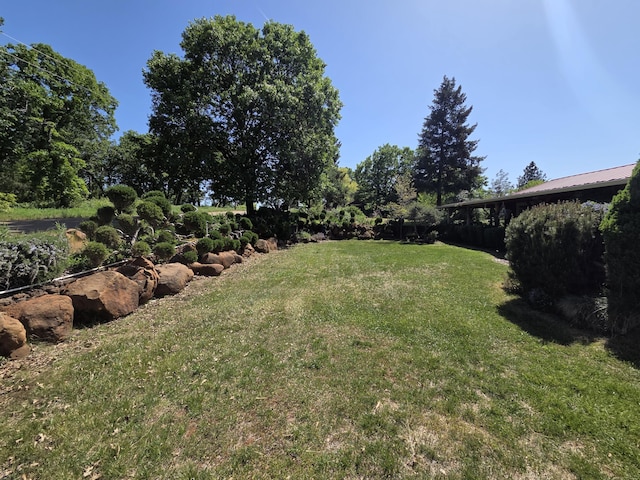 view of yard