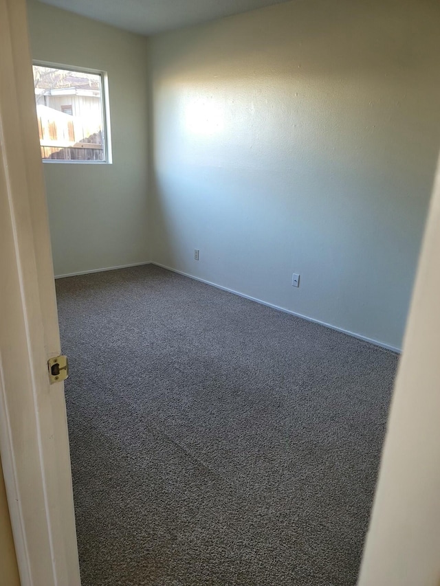 spare room with carpet floors