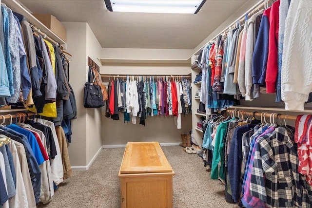 spacious closet featuring light colored carpet