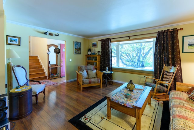 living room featuring dark wood-type flooring and ornamental molding